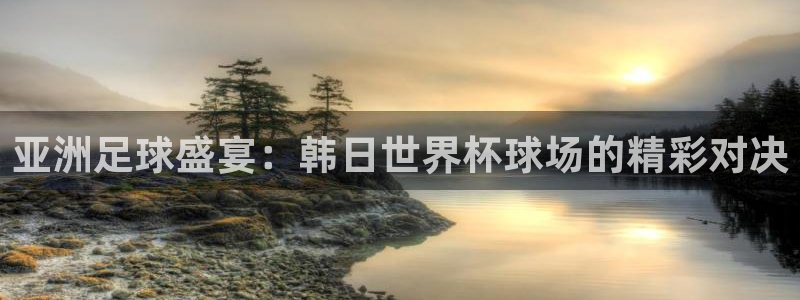世界杯欧洲预选赛：亚洲足球盛宴：韩日世界杯球场的精彩对决
