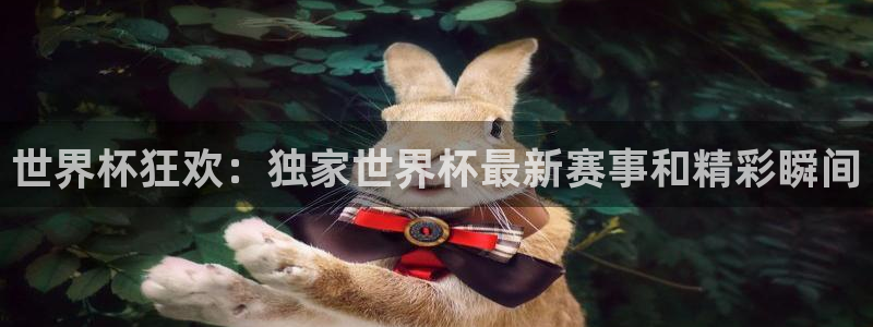 免费看足球直播比赛：世界杯狂欢：独家世界杯最新赛事和精彩瞬间
