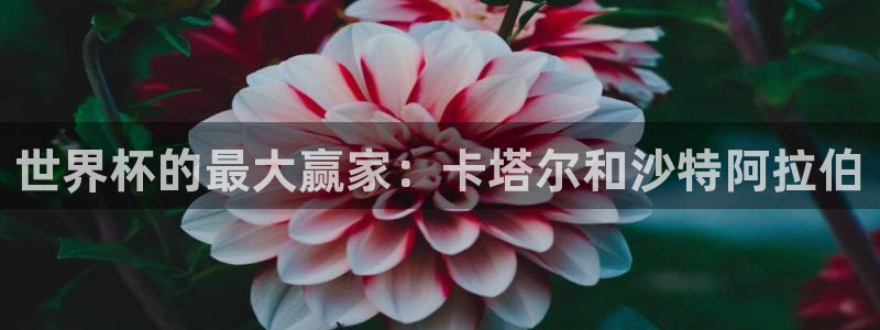 世预赛欧洲赛程表：世界杯的最大赢家：卡塔尔和沙特阿拉伯