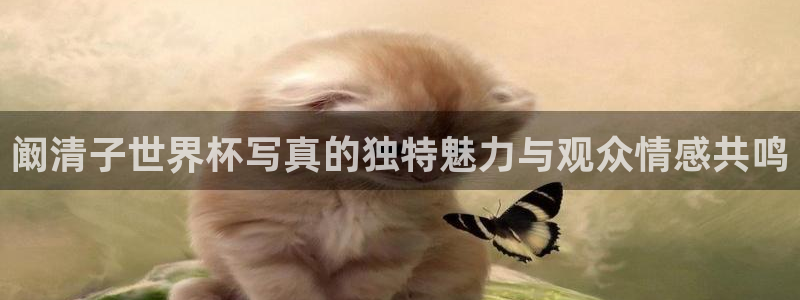 足球杯：阚清子世界杯写真的独特魅力与观众情感共鸣