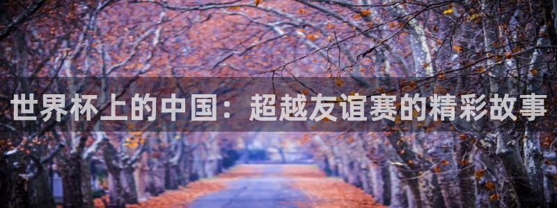 2026世界杯官网：世界杯上的中国：超越友谊赛的精彩故事