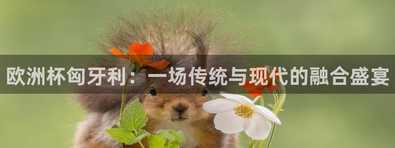 世界杯女足直播：欧洲杯匈牙利：一场传统与现代的融合盛宴