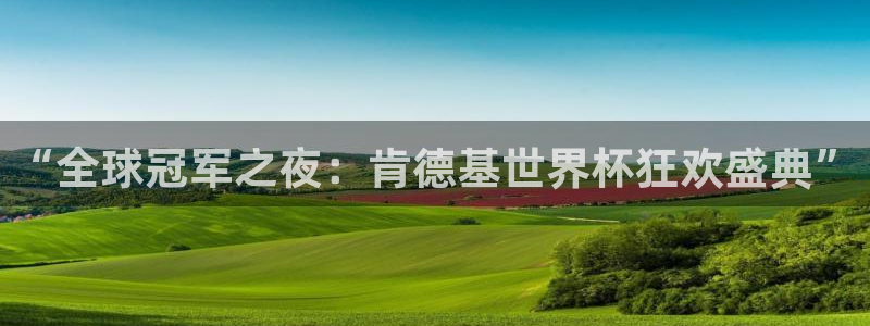 免费看足球直播比赛：“全球冠军之夜：肯德基世界杯狂欢盛典”