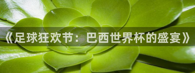 世界杯葡萄牙赛程：《足球狂欢节：巴西世界杯的盛宴》