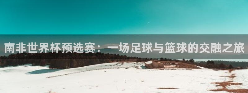 2026世界杯赛制：南非世界杯预选赛：一场足球与篮球的交融之旅