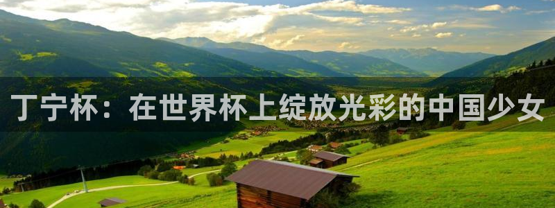 2026年世界杯对阵图：丁宁杯：在世界杯上绽放光彩的中国少女