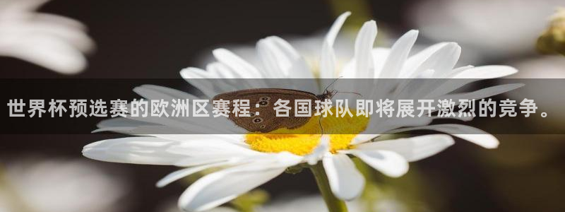 2026年世界杯赛程表时间：世界杯预选赛的欧洲区赛程：各国球队即将展开激烈的竞争。