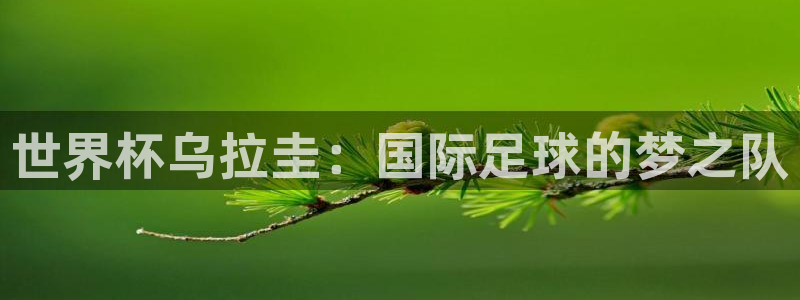 世界杯亚洲区预选赛赛程表：世界杯乌拉圭：国际足球的梦之队