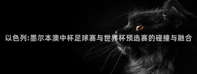 世界杯球队：以色列:墨尔本澳中杯足球赛与世界杯预选赛的碰撞与融合