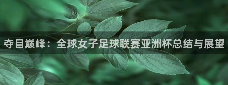 世界杯预选赛欧洲赛区赛程：夺目巅峰：全球女子足球联赛亚洲杯总结与展望