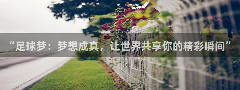 今年的世界杯：“足球梦：梦想成真，让世界共享你的精彩瞬间”